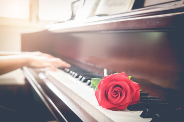 Musician playing piano with red rose flower with vintage filter