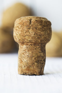 View of wine cork