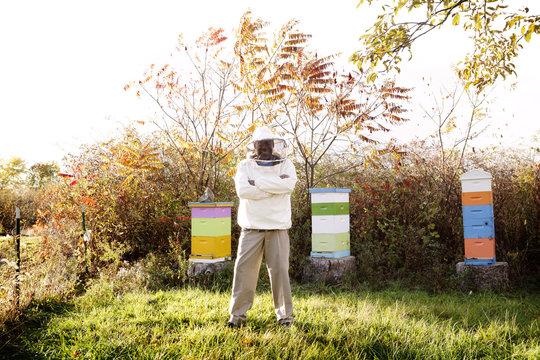 Beekeeper standing on grass plot in front of three beehives
