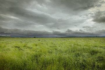 Scenic view of grassy field against stormy clouds