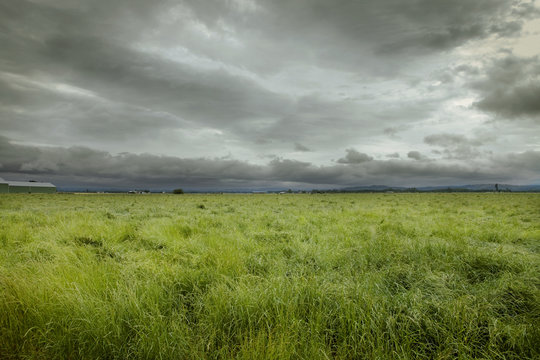 Scenic view of grassy field against stormy clouds