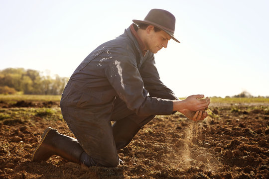 Farmer Testing Soil In Field