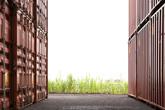 View of stacks of cargo containers and plants growing in background