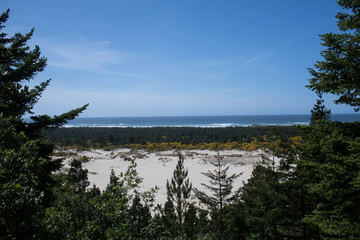 Sand dunes and Pacific Ocean