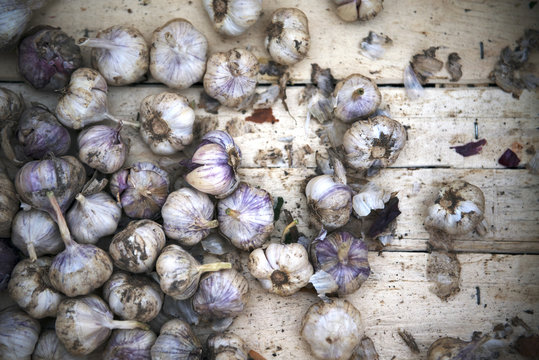 Garlic in crate