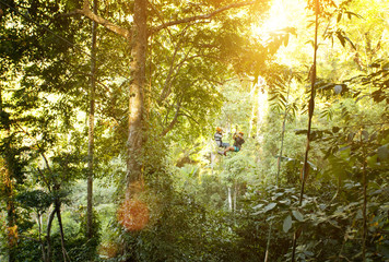 Couple zip-lining in rainforest