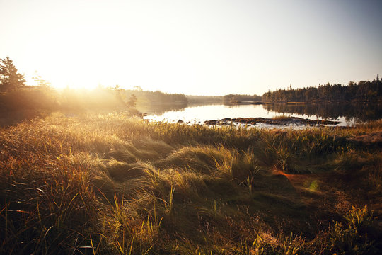 Pond at sunset