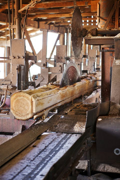 View of lumberyard during day