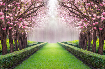 Fototapeta Romantyczna aleja wśród drzew obraz