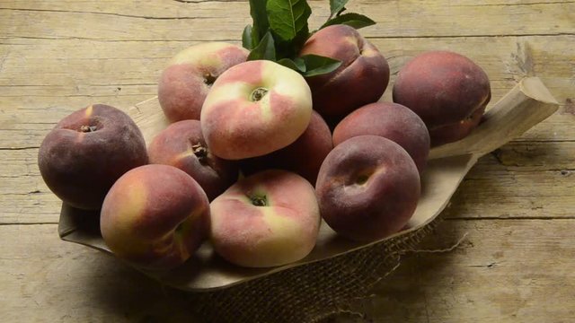 Prunus Persica バントウ 蟠桃 Pesca tabacchiera Saturn Peach  אפרסק פיתה Platicarpa  كعب الغزال Pessegueiro Platycarpa هلو انجیری Paraguayo Brzoskwinia zwyczajna Lamevirsik Paraguaya فاكهة Персик Şeftali 