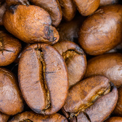 Roasted coffee beans