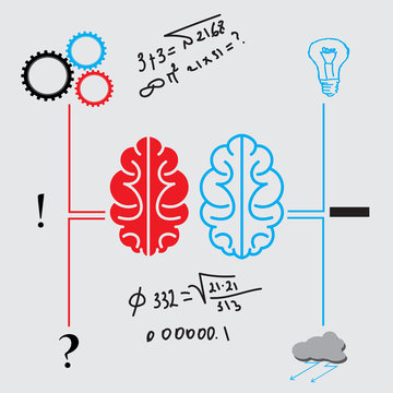 vector_brain