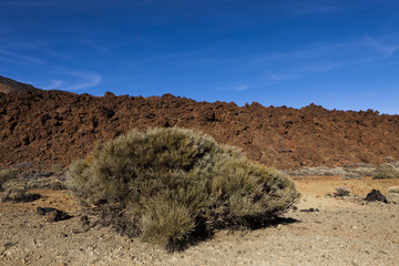 Impression from the crater of the volcano Teide, Tenerife, Canary Islands, Spain