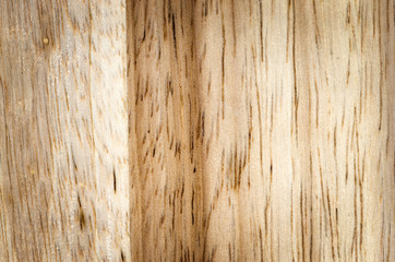 Texture of wood