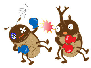 昆虫のボクシング