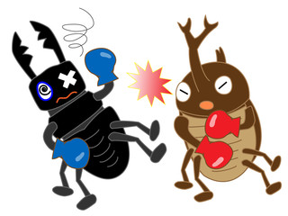 昆虫のボクシング