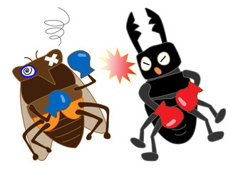 昆虫のボクシング