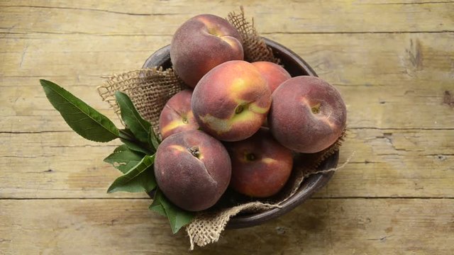ᏆᏅ Prunus persica ატამი ژٕنُن ਆੜੂ Virsik Ferskentr&aelig; Breskev Peach Pesca Persikka Frutta Гугъри آڙو Brzoskwinia zwyczajna Melocot&oacute;n 桃 Pfirsich P&ecirc;cher