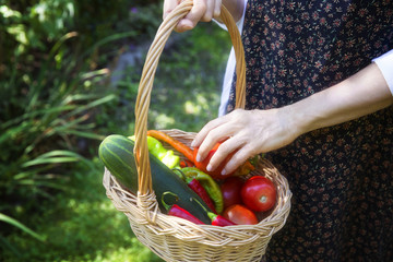 Cropped image of woman holding vegetables in basket at yard
