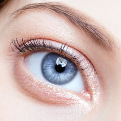 Obraz premium female eye zone and brows with day makeup