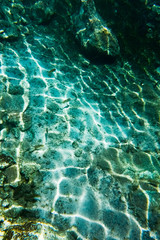 Bottom of the cenote that Daylight