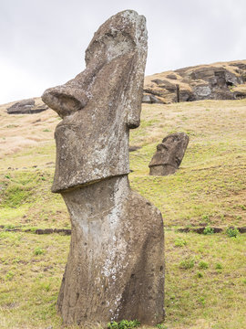 The big moai of the quarry