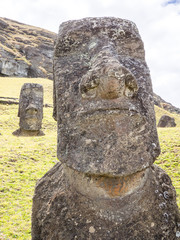 The big nosed Moai