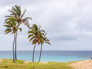 Fototapeta premium Magic view from Anakena beach