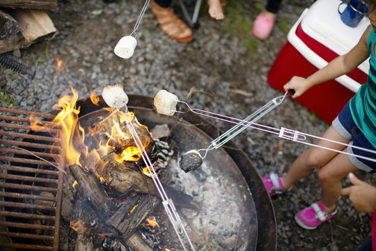 Kids Roasting Marshmallows