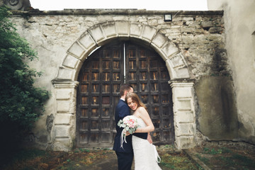 Fototapeta na wymiar Beautiful romantic wedding couple of newlyweds hugging near old castle