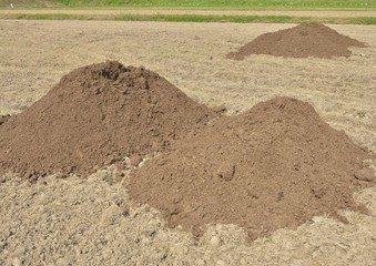 田んぼに施す堆肥