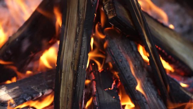 Hot fireplace full of wood with the trees crackling and 
bird song sound, campfire. Camp fire, red and yellow flames and embers.
