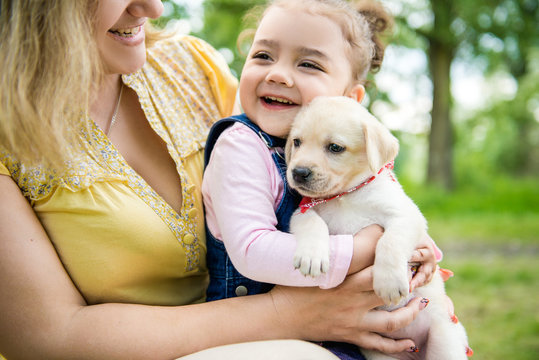 Purebred Puppy Labrador Retriever And Smiling Little Girl