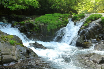 初夏の熊本菊池渓谷