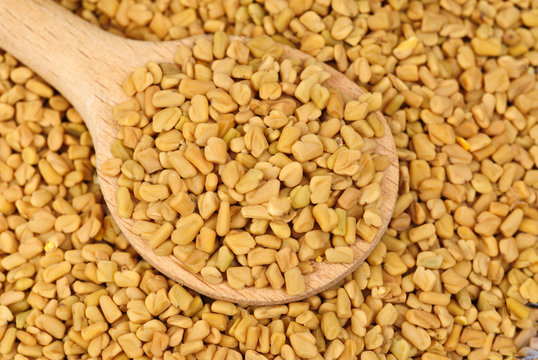 Fenugreek seeds in wooden spoon as food background