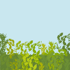 Abstract design with green leaf silhouette and blue sky card for your text. Vector