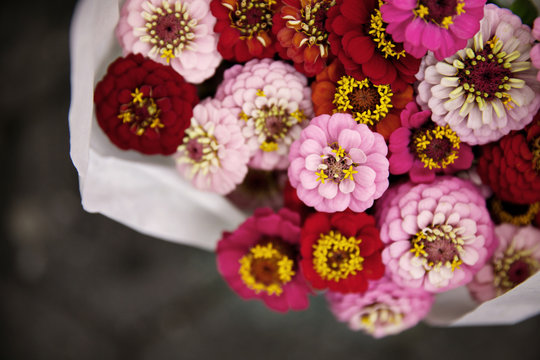 High angle view of pink zinnias in bouquet at flower shop