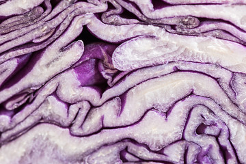 Obraz premium Red cabbage, food, close-up, macro.