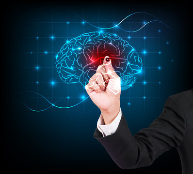 Businessman hand writing and drawing brain on a touch screen interface
