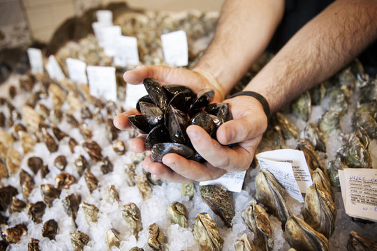 Cropped image of hands holding oysters