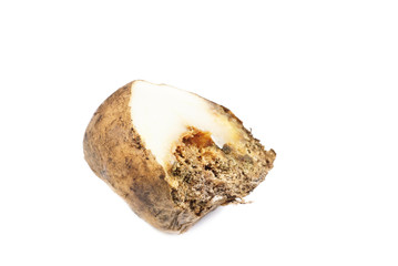 Potatoes infected with fungal disease