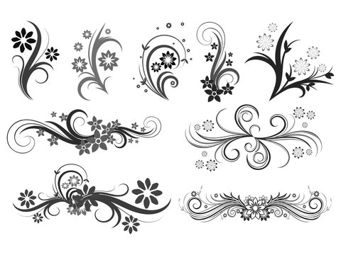 Curly pattern of flowers and petals on a white background