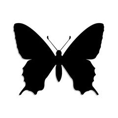 silhouette butterfly