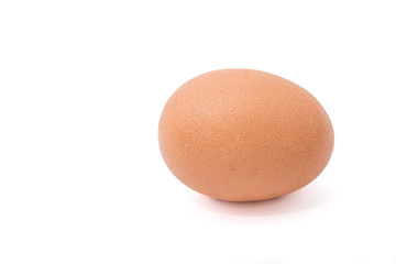Egg on white background