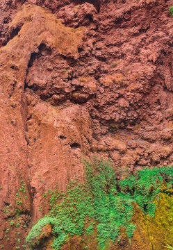 Rock in Morocco from red clay with plants growing on it. Nearl waterfall in Ouzoud Azilal, Morocco, Grand Atlas