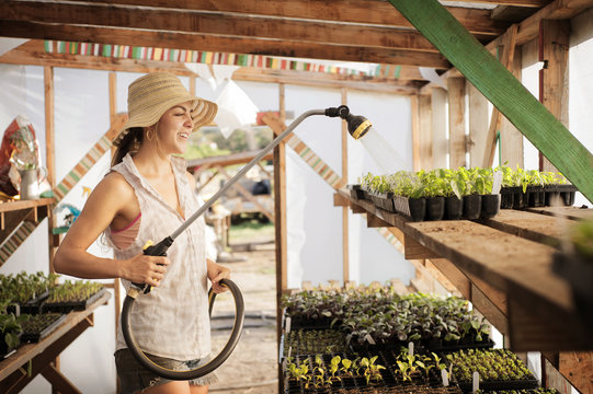 Young woman watering seedling in greenhouse