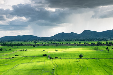 Light shine green fields and mountain