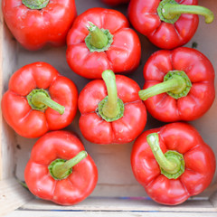 A group of fresh and clean red peppers