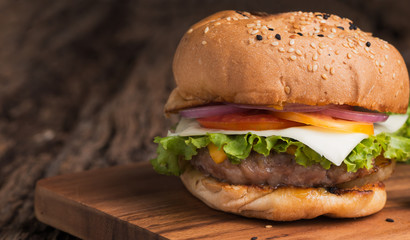 Beef Hamburger, homemade hamburger with fresh vegetables