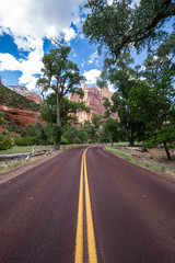 Fototapeta na wymiar Typical red road in Zion National Park, Utah, USA